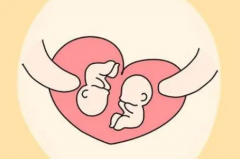 试管婴儿如何生龙凤胎