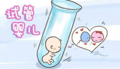试管婴儿着床步骤
