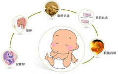 试管婴儿改良方案