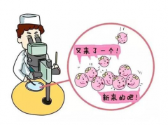试管婴儿促排过程