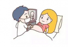 试管婴儿胚胎几天着床