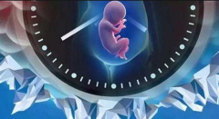 第三代试管婴儿成功率多少