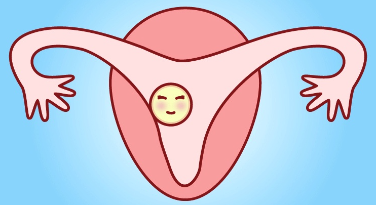 试管婴儿