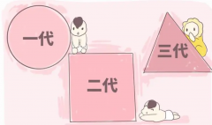 试管婴儿一般做第几代？吉尔吉斯斯坦试管婴儿
