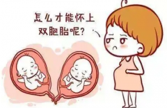 试管婴儿双胞胎同卵双胞胎