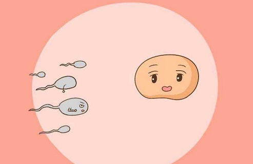 试管婴儿