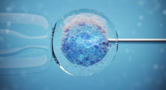 试管婴儿的胚胎等级之分,吉尔吉斯斯坦试管