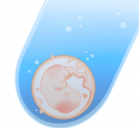 试管婴儿囊胚生化的原因,吉尔吉斯斯坦试管