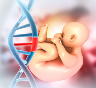 成都做试管婴儿要多少钱一次