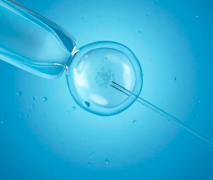 没结婚能做试管婴儿？吉尔吉斯斯坦试管