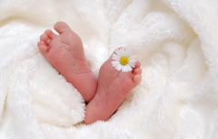 试管婴儿激素检查多少钱?